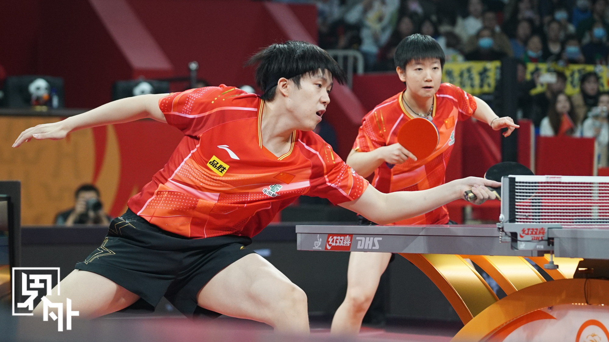 关于德国乒乓球队完胜中国乒乓球队，马龙打破历史纪录的信息