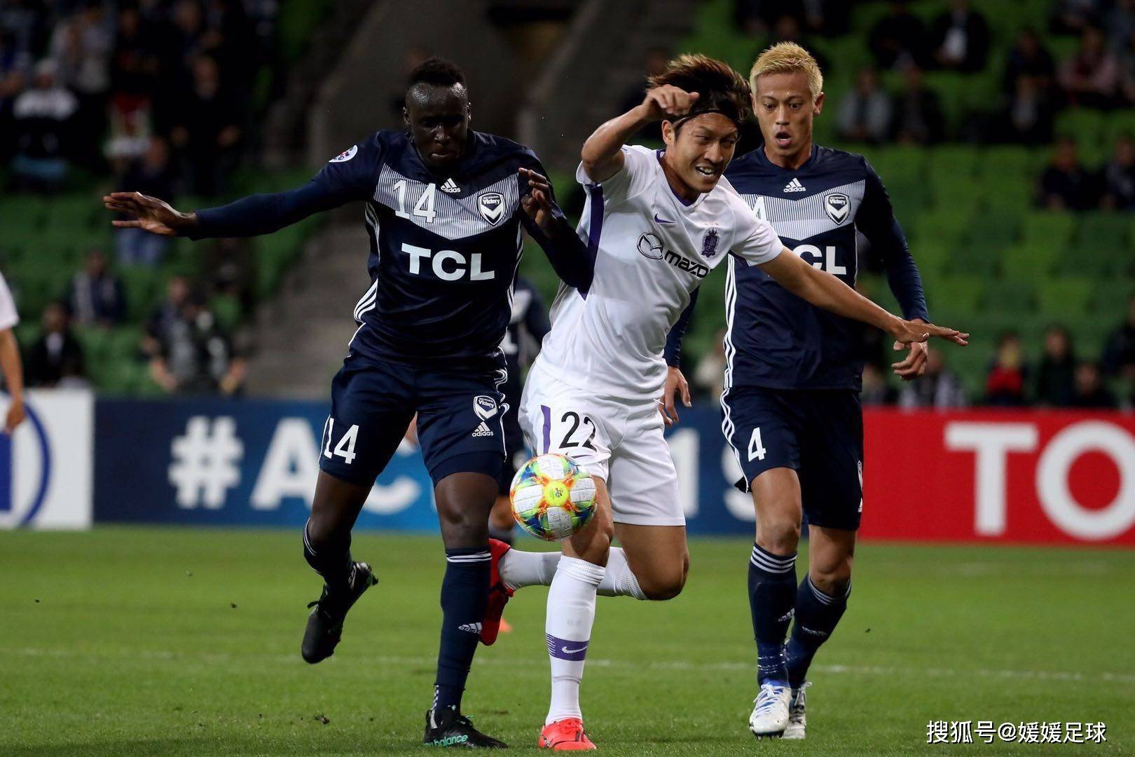 悉尼海狗队在欧国联赛中获得胜利